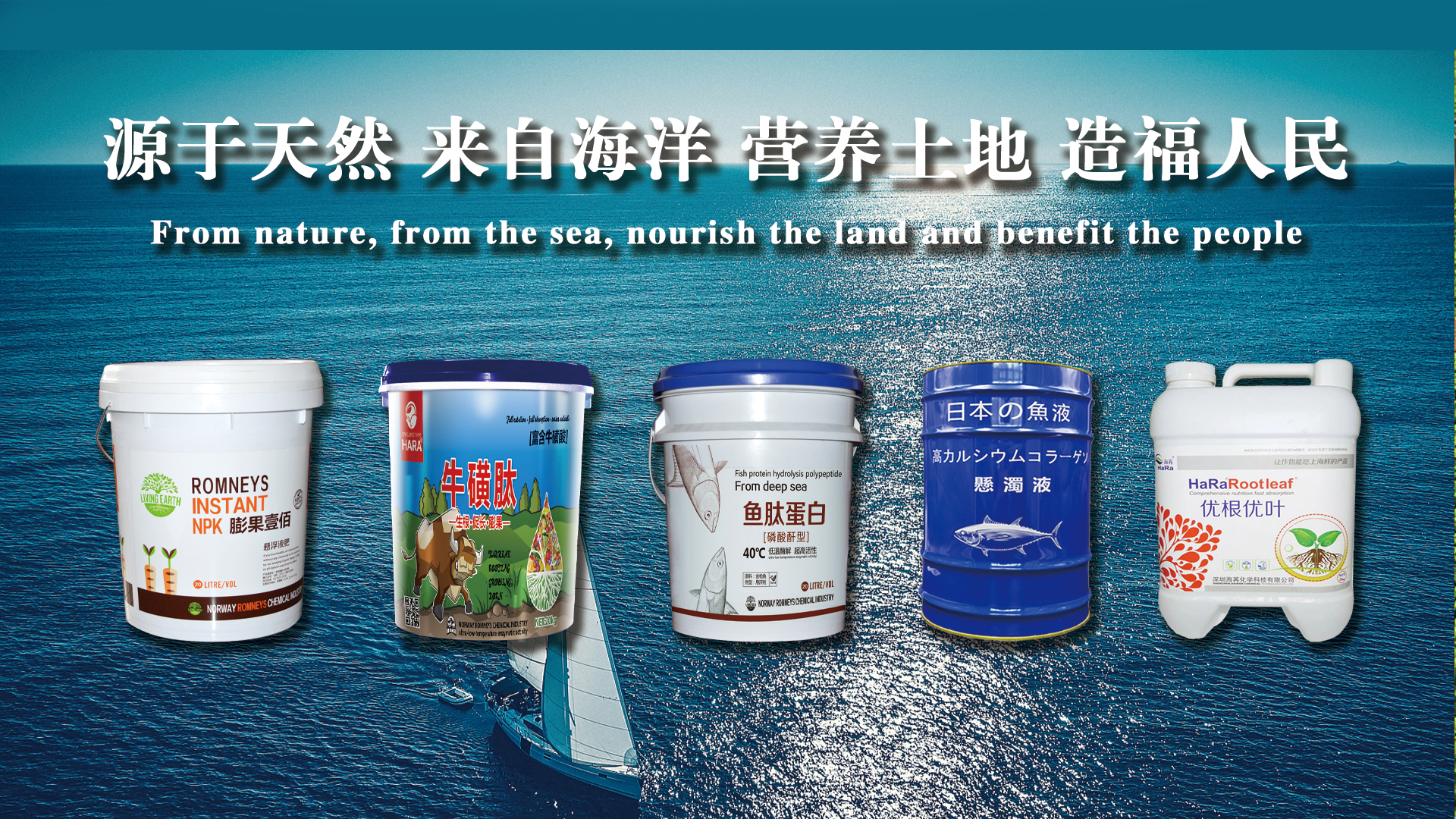 凯发体育app下载